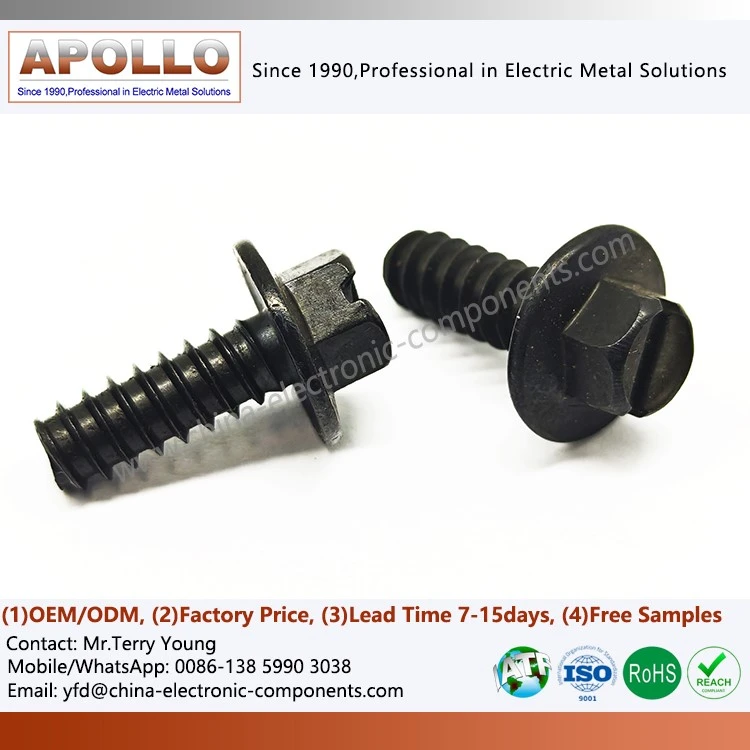 Flanged Screw with Hexagonal Head Flanged Screw with Hexagonal Head